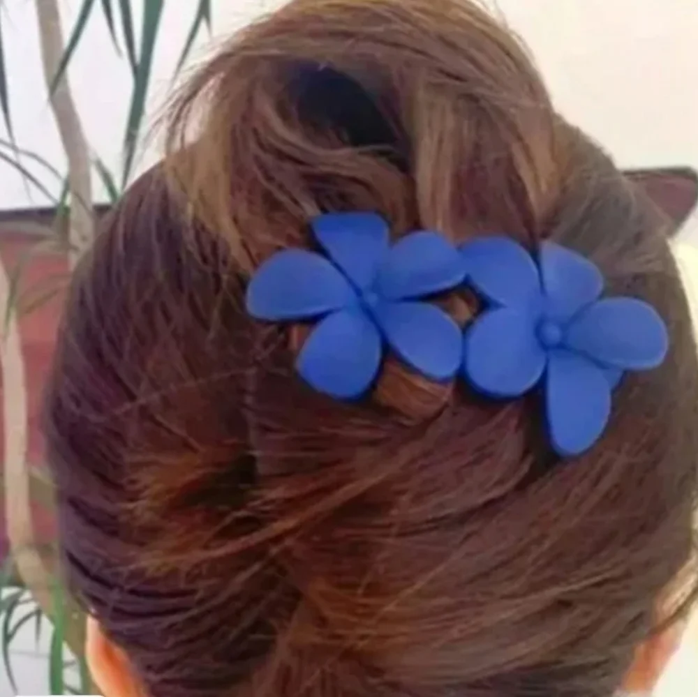 Claw Clip Hair Accessories